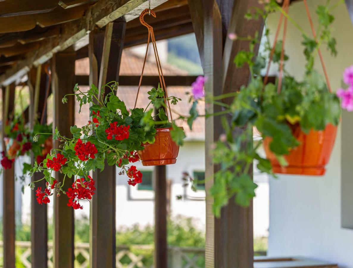 Casa De Vacanta Armi Molidu Екстериор снимка
