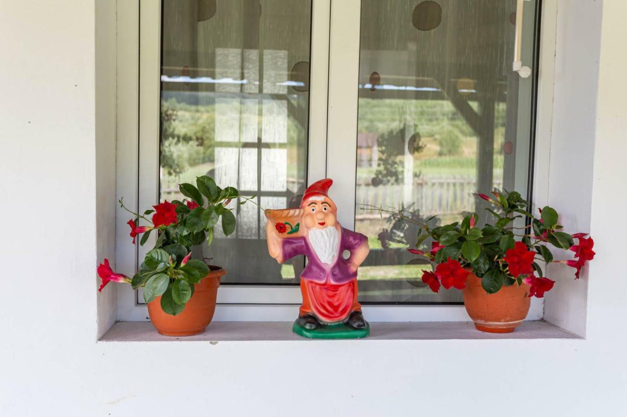 Casa De Vacanta Armi Molidu Екстериор снимка