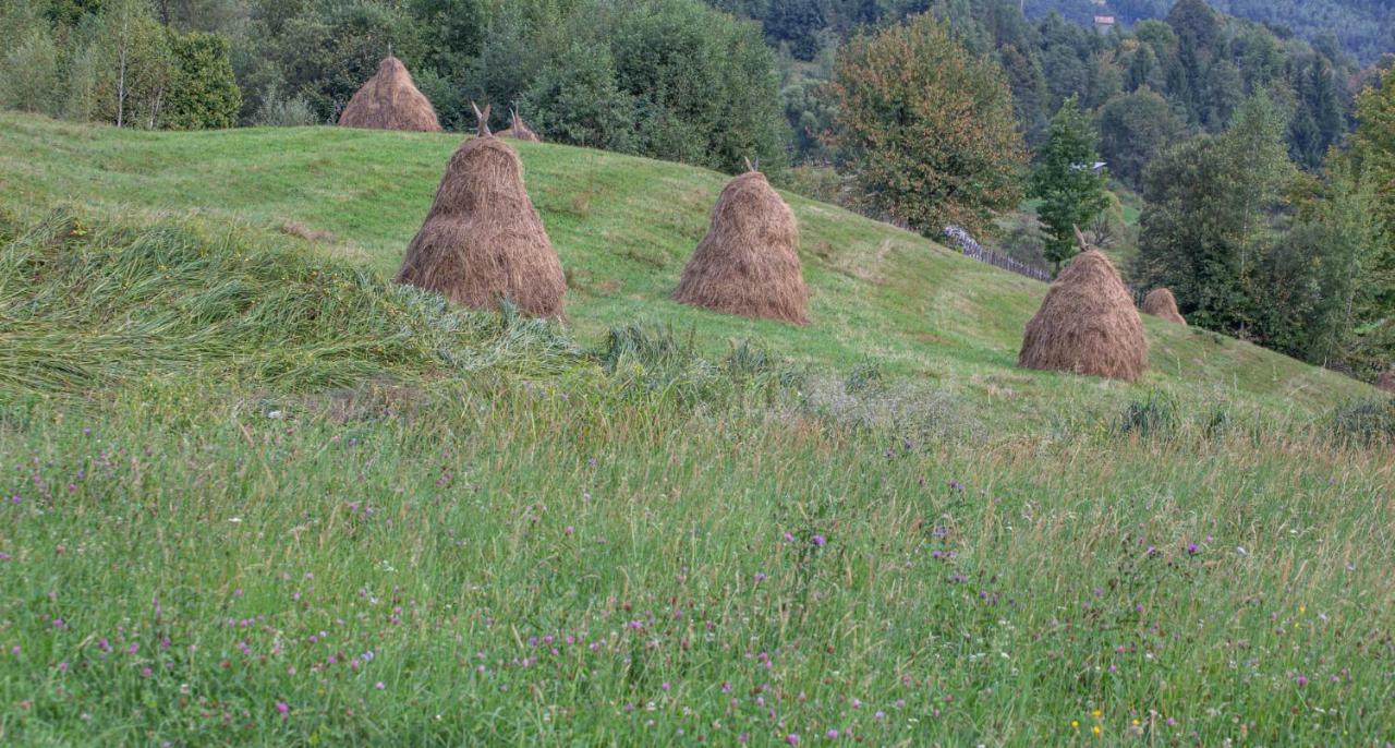 Casa De Vacanta Armi Molidu Екстериор снимка